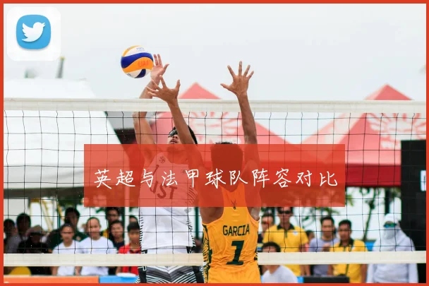 英超与法甲球队阵容对比