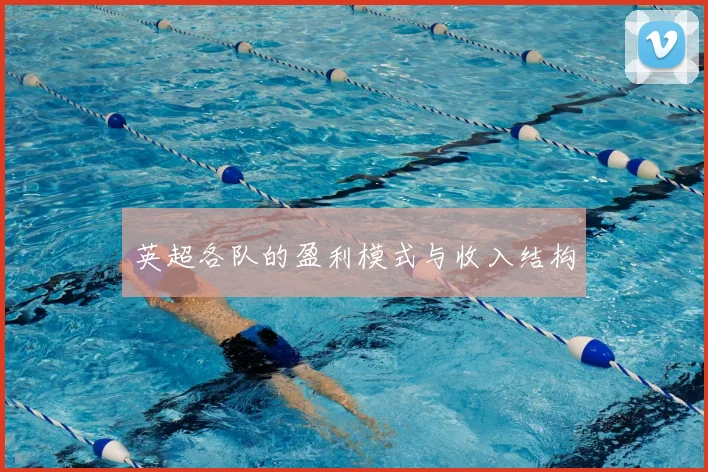 英超各队的盈利模式与收入结构