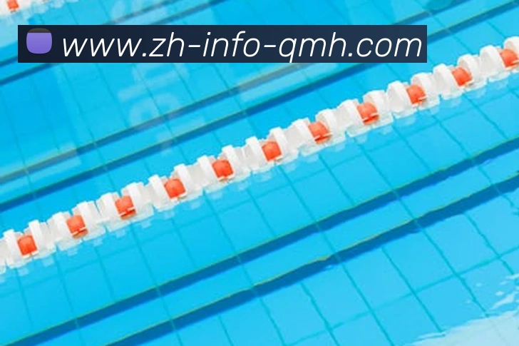 球盟会APP 封面图